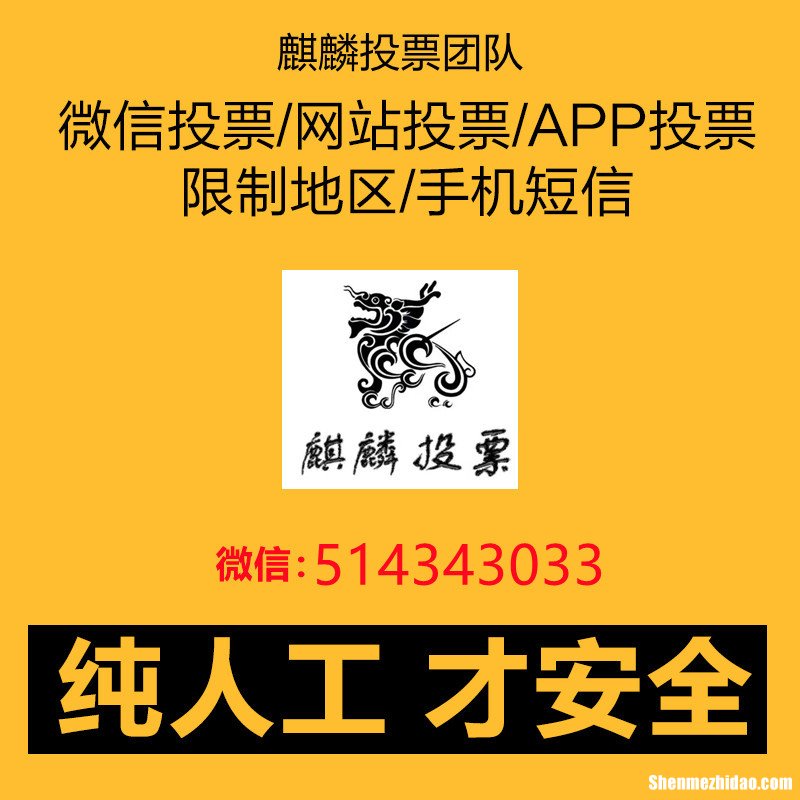 微信里怎么人工投票价格多少钱一票 微信人工投票10元1000票微信号