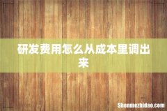 研发费用怎么从成本里调出来