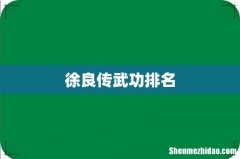 徐良传武功排名