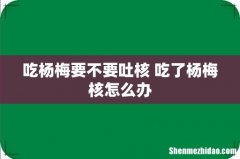 吃杨梅要不要吐核 吃了杨梅核怎么办