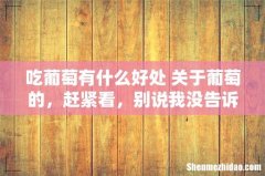 吃葡萄有什么好处 关于葡萄的，赶紧看，别说我没告诉你哦！