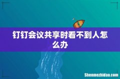 钉钉会议共享时看不到人怎么办