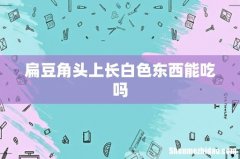 扁豆角头上长白色东西能吃吗