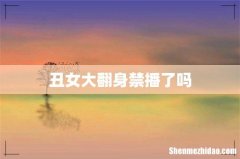 丑女大翻身禁播了吗