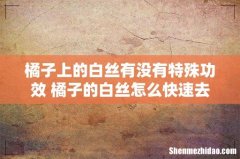 橘子上的白丝有没有特殊功效 橘子的白丝怎么快速去掉