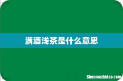 满酒浅茶是什么意思