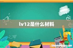 lv12是什么材料