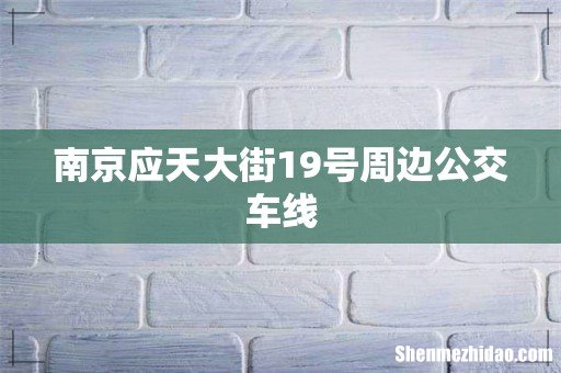 南京应天大街19号周边公交车线