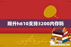 翔升h610支持3200内存吗