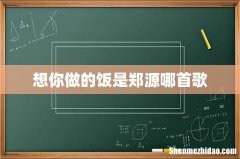 想你做的饭是郑源哪首歌