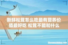 新鲜松茸怎么吃最有营养价值最好吃 松茸不能和什么一起煮