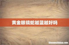 黄金眼镜蛇越蓝越好吗