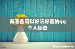 有哪些可以好听好看的qq个人标签
