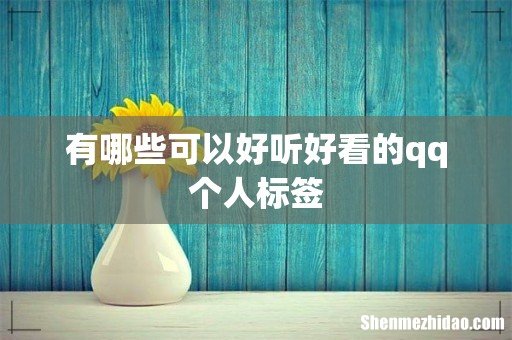 有哪些可以好听好看的qq个人标签