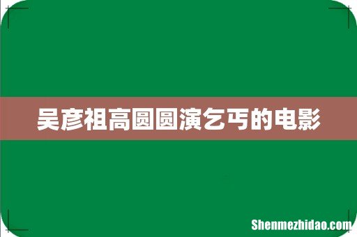 吴彦祖高圆圆演乞丐的电影