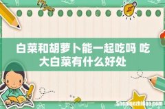 白菜和胡萝卜能一起吃吗 吃大白菜有什么好处