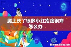 腿上长了很多小红疙瘩很痒怎么办