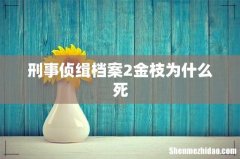 刑事侦缉档案2金枝为什么死