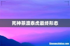 死神茶渡泰虎最终形态