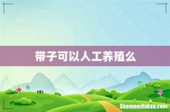 带子可以人工养殖么