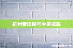 杭州专项摇号中签概率