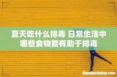 夏天吃什么排毒 日常生活中哪些食物能有助于排毒