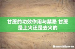 甘蔗的功效作用与禁忌 甘蔗是上火还是去火的