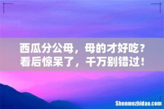 西瓜分公母，母的才好吃？看后惊呆了，千万别错过！