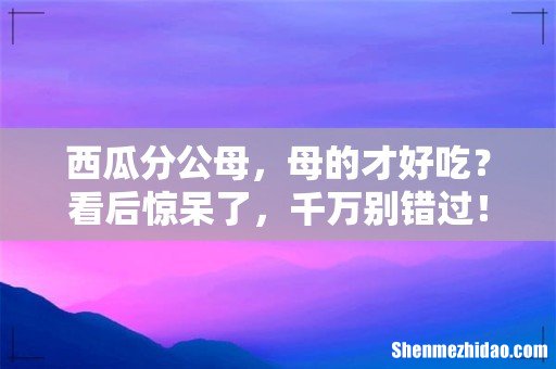 西瓜分公母，母的才好吃？看后惊呆了，千万别错过！