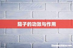 茄子的功效与作用