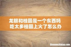 龙眼和桂圆是一个东西吗 吃太多桂圆上火了怎么办