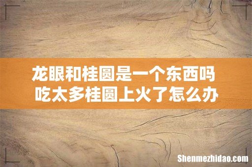 龙眼和桂圆是一个东西吗 吃太多桂圆上火了怎么办