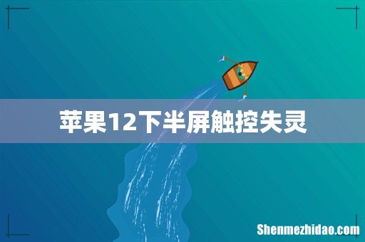 苹果12下半屏触控失灵