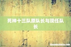 死神十三队原队长与现任队长