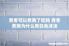 青枣可以煮熟了吃吗 青枣煮熟为什么有白色沫沫