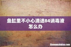 鱼缸里不小心滴进84诮毒液怎么办