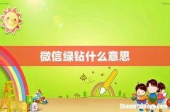 微信绿钻什么意思