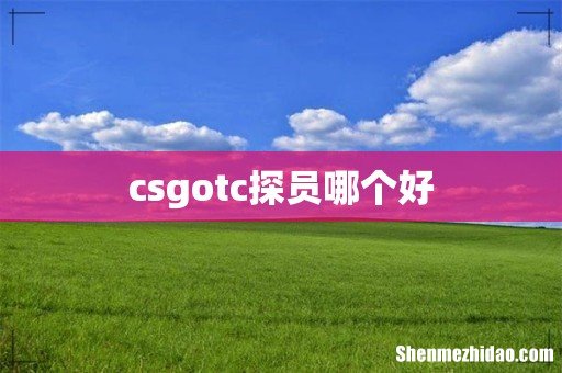 csgotc探员哪个好