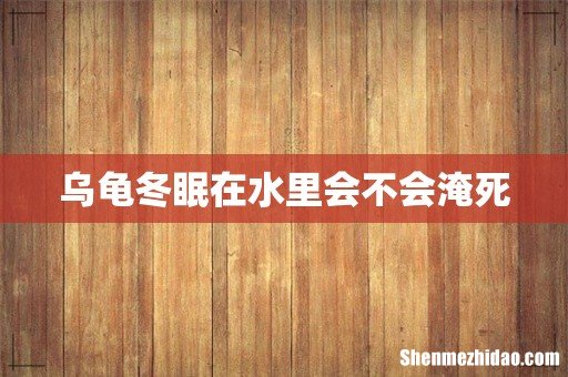 乌龟冬眠在水里会不会淹死
