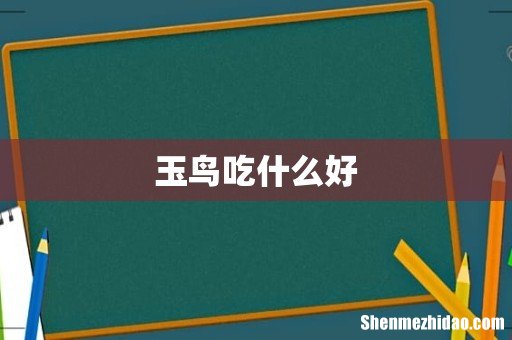 玉鸟吃什么好