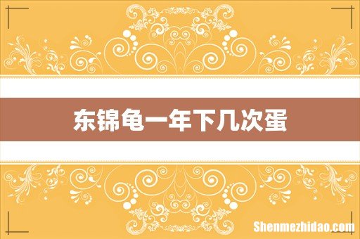 东锦龟一年下几次蛋