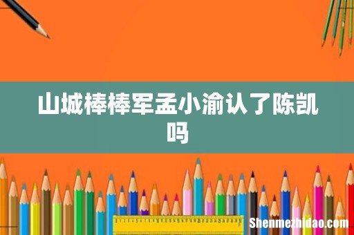 山城棒棒军孟小渝认了陈凯吗