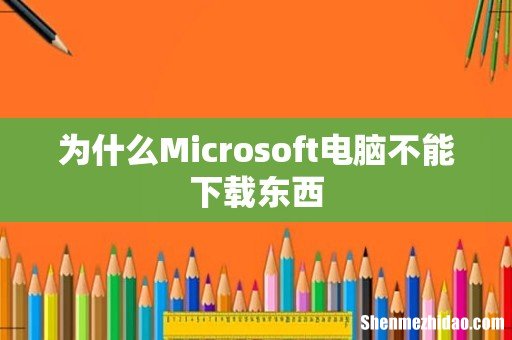 为什么Microsoft电脑不能下载东西
