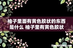 柚子里面有黄色胶状的东西是什么 柚子里有黄色胶状物是变质吗