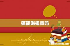 猫能喝椰青吗