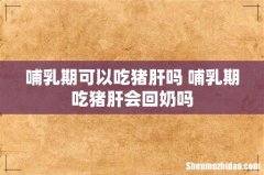 哺乳期可以吃猪肝吗 哺乳期吃猪肝会回奶吗