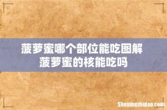 菠萝蜜哪个部位能吃图解 菠萝蜜的核能吃吗