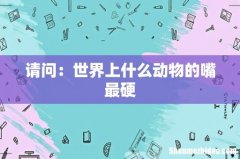 请问：世界上什么动物的嘴最硬