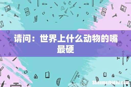 请问:世界上什么动物的嘴最硬