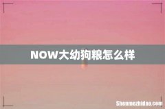 NOW大幼狗粮怎么样